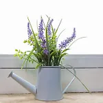603 *